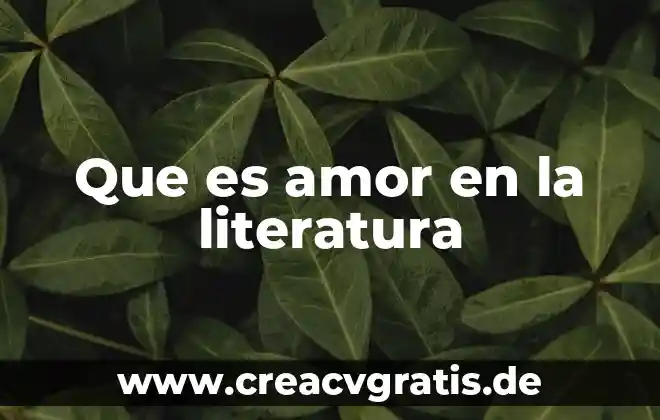 Que es revisión de la literatura 7 Que es amor en la literatura