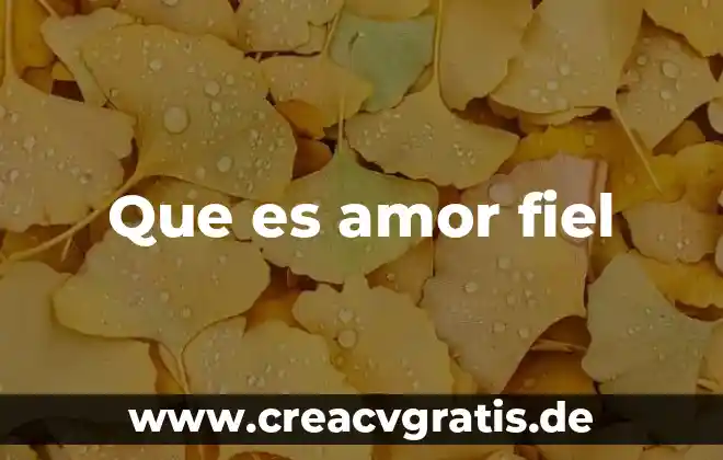 Que es la fiel firma electronica avanzada 6 Que es amor fiel