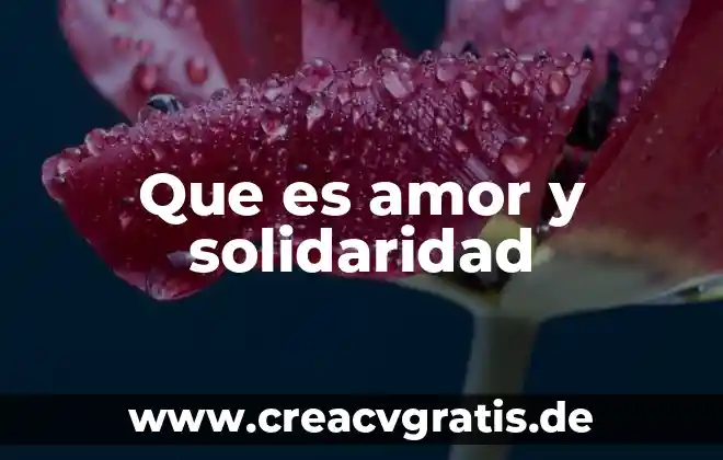 Que es una conclusión en una investigacion 6 Que es amor y solidaridad