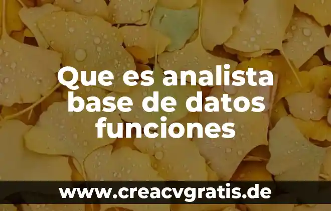 Por que es importante elavorar un diccionario de datos 5 Que es analista base de datos funciones