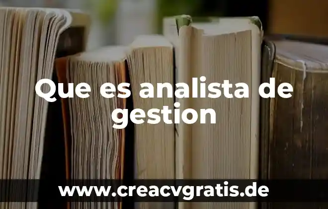 Que es la gestion de la pi 3 Que es analista de gestion