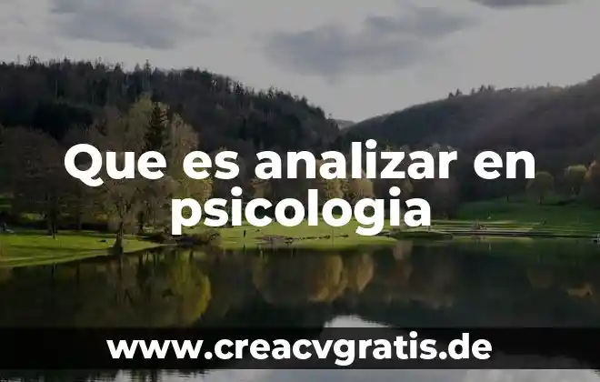 Qué es universidad en psicología 3 Que es analizar en psicologia