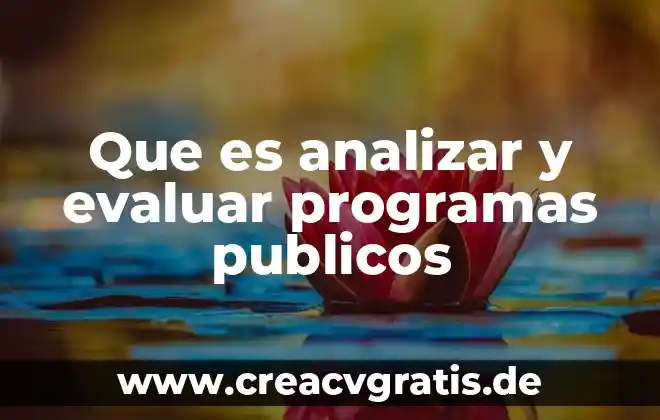 Que es un perfil de publicos 4 Que es analizar y evaluar programas publicos