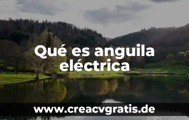 Que es una salida de centro electrica 8 Qué es anguila eléctrica
