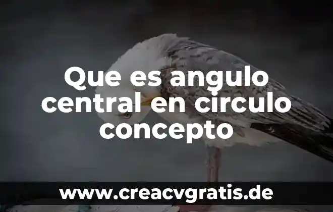 Que es activar ajuste de ángulo mouse pro 5 Que es angulo central en circulo concepto