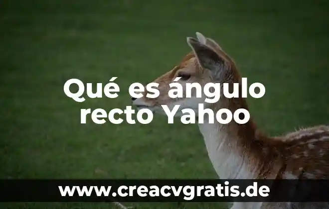 Que es angulo central en circulo concepto 4 Qué es ángulo recto Yahoo