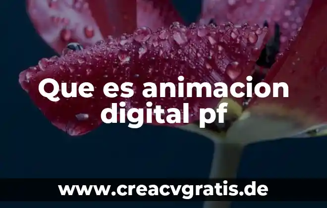 Que es animación turisticaredalyc 8 Que es animacion digital pf