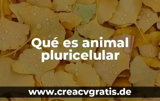Que es el animal albaca 5 Qué es animal pluricelular