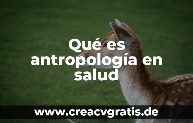 Que es la antropologia filosofica en filosofia 7 Qué es antropología en salud