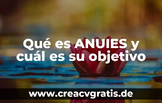 Que es nanotecnologia y cual es significado 4 Qué es ANUIES y cuál es su objetivo