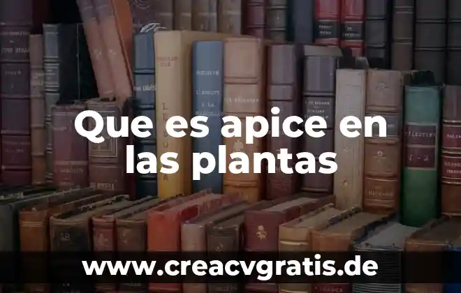 Qué es la colenquímica en las plantas 3 Que es apice en las plantas