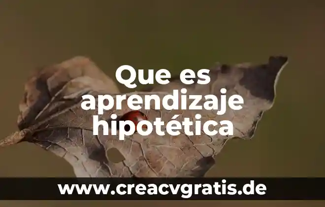 Qué es el aprendizaje del número 5 Que es aprendizaje hipotética