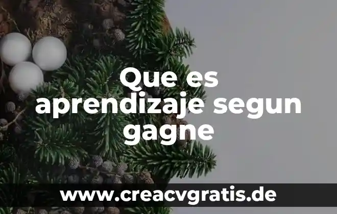 Qué es el aprendizaje del número 7 Que es aprendizaje segun gagne