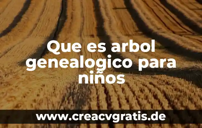 Diagrama de árbol y principio multiplicativo que es 4 Que es arbol genealogico para niños