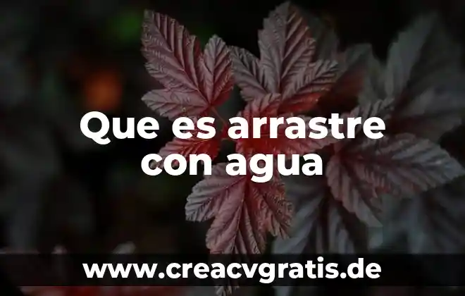 Que es la desestimacion de la demanda civil 6 Que es arrastre con agua