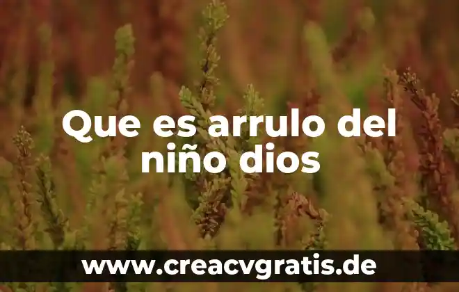 Como le explico a un niño que es un dodo 3 Que es arrulo del niño dios