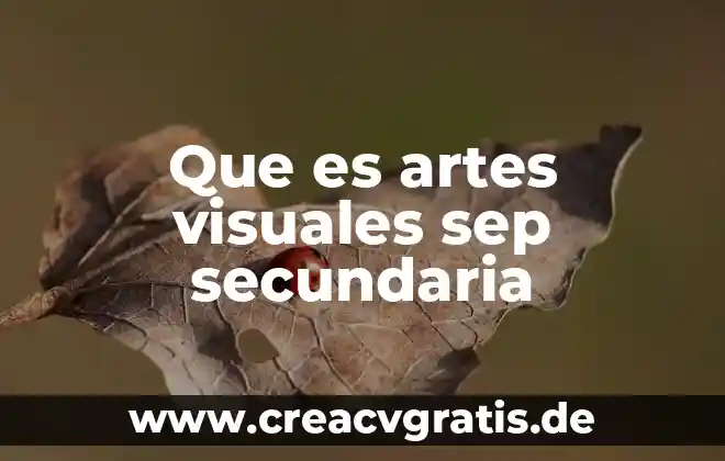 Que es segmento en artes 8 Que es artes visuales sep secundaria
