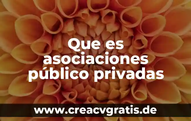 Qué es número de identificación jurídica 4 Que es asociaciones público privadas