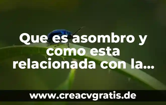 Qué es una institución de asistencia pública privada definición 4 Que es asombro y como esta relacionada con la filosofía