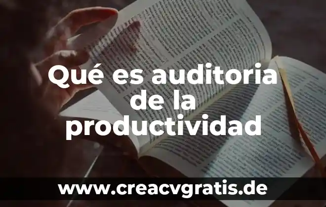 Qué es nombres auditoria de formulas en excel 7 Qué es auditoria de la productividad