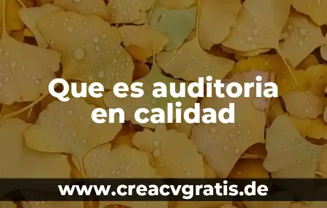 Qué es nombres auditoria de formulas en excel 8 Que es auditoria en calidad