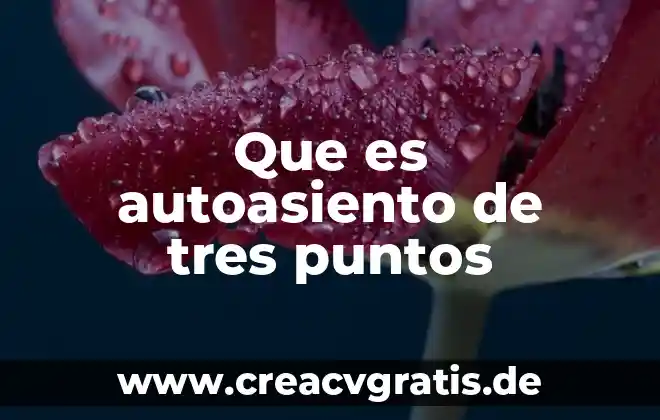 Puntos card que es 4 Que es autoasiento de tres puntos