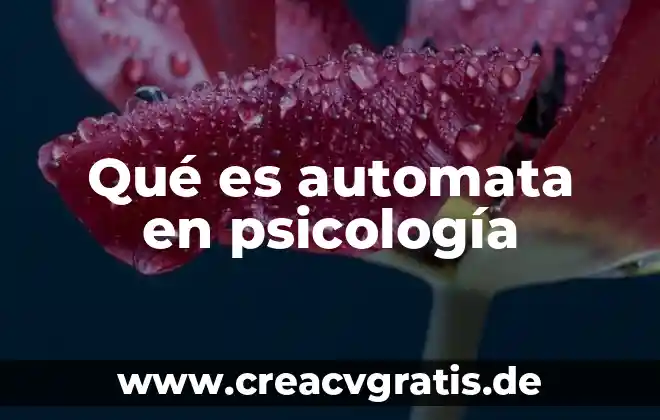 Que es un b a de psicologia 3 Qué es automata en psicología