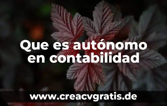 Que es un organismo fiscal autónomo del imss 6 Que es autónomo en contabilidad