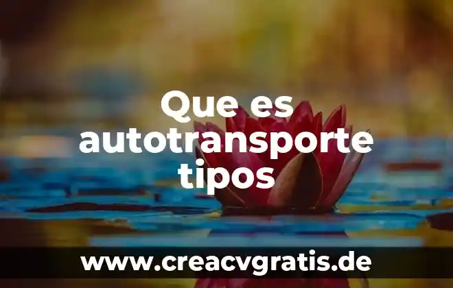 Que es una funcion en excel y tipos 4 Que es autotransporte tipos