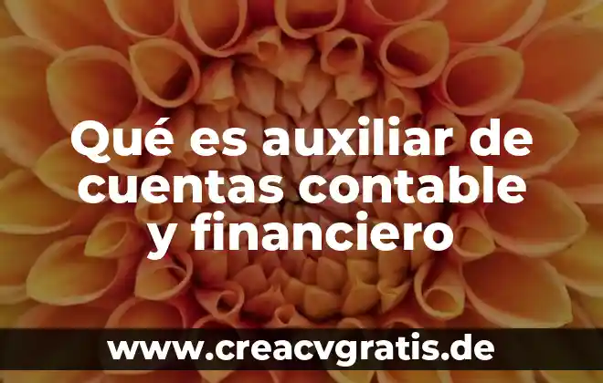 Qué es un flujograma del software contable 3 Qué es auxiliar de cuentas contable y financiero