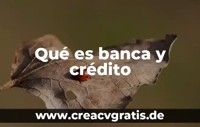 Que es el alias de la tarjeta de crédito 6 Qué es banca y crédito