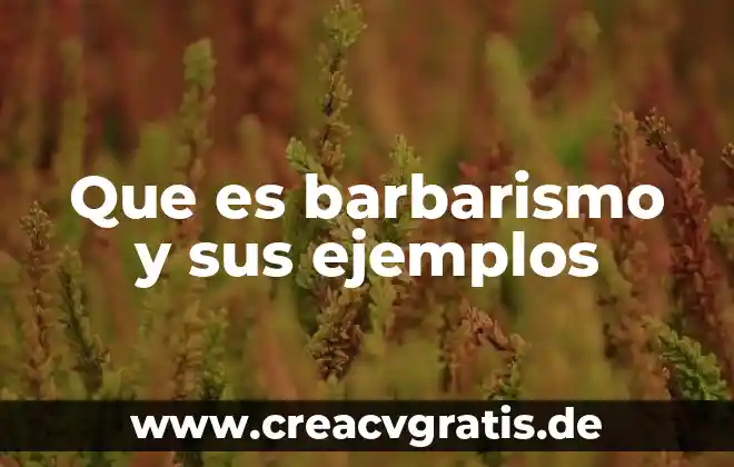 Que es el pnb ejemplos 3 Que es barbarismo y sus ejemplos