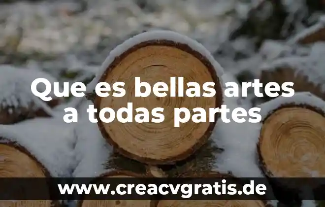 Que es segmento en artes 3 Que es bellas artes a todas partes