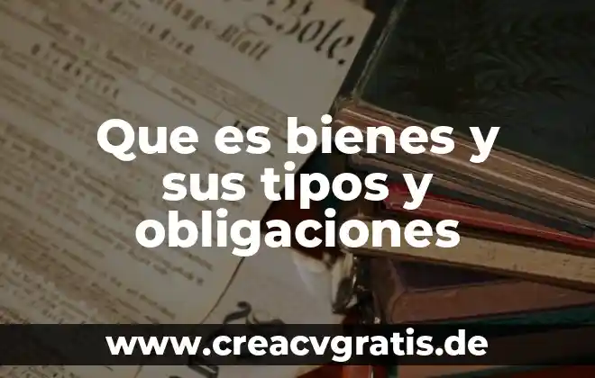 Que es servicio de restaurante y tipos 3 Que es bienes y sus tipos y obligaciones