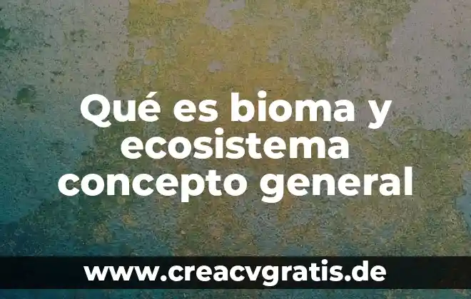 Qué es el hinduismo concepto 4 Qué es bioma y ecosistema concepto general