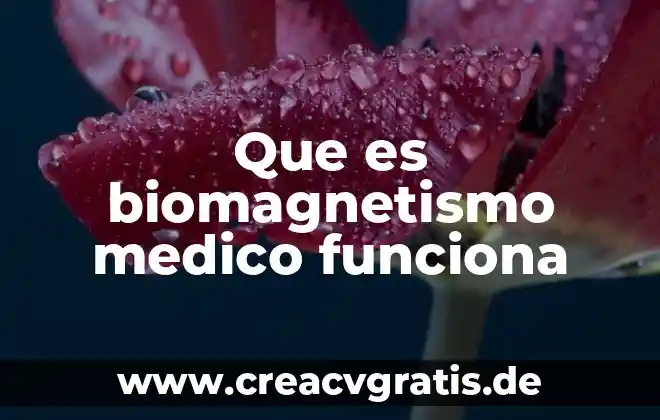 Que es un examen medico medico 6 Que es biomagnetismo medico funciona