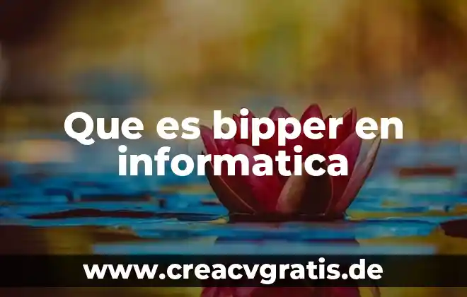 Que es stingray en informatica 7 Que es bipper en informatica