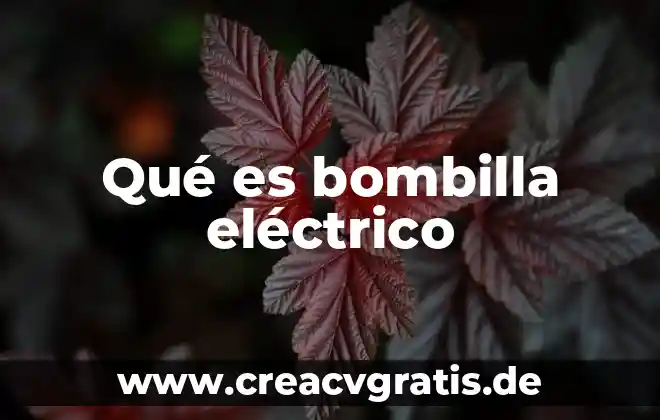 Castizos que es significado concepto 3 Qué es bombilla eléctrico