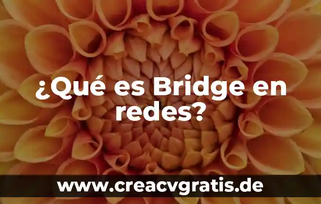 Que es mensaje en las redes sociales 6 ¿Qué es Bridge en redes?