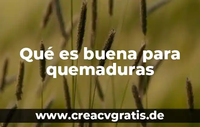 La sandía para que es buena 3 Qué es buena para quemaduras
