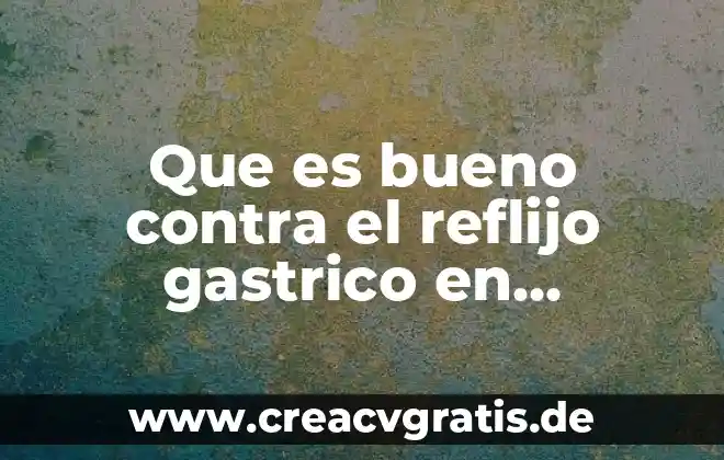 Que es una hoja de calculo y tipos inform 4 Que es bueno contra el reflijo gastrico en cachorros