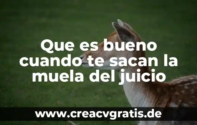 Que es bueno ponerte cuando te quemas los dedos 3 Que es bueno cuando te sacan la muela del juicio