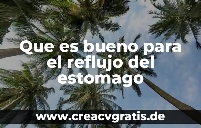 Estómago significado etimológico y que es 5 Que es bueno para el reflujo del estomago