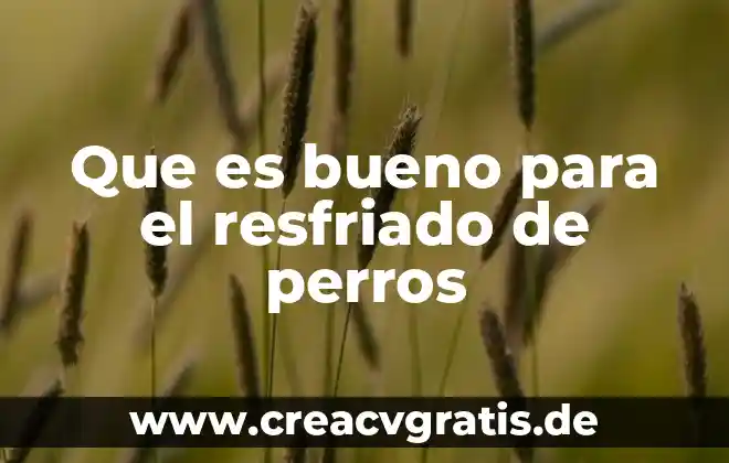 Es más mala la gripe que el resfriado 6 Que es bueno para el resfriado de perros