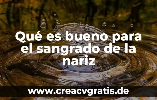 Nariz significado etimológico y que es 4 Qué es bueno para el sangrado de la nariz