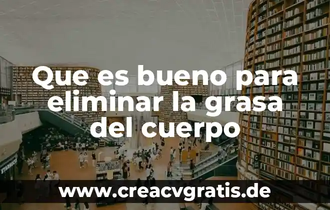 Que es la grasa significado 8 Que es bueno para eliminar la grasa del cuerpo