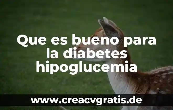 Conclusion de que es ser bueno ciudadanos 7 Que es bueno para la diabetes hipoglucemia