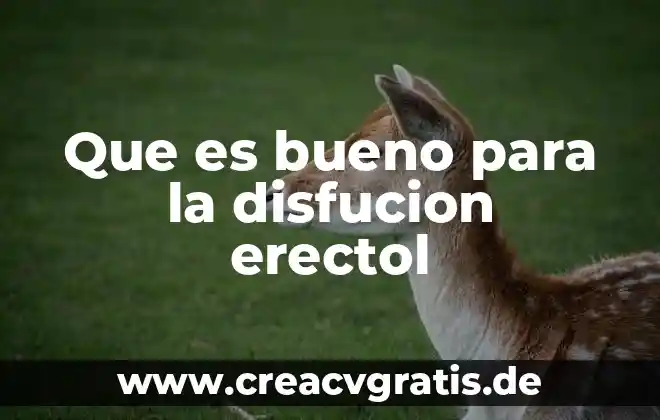 Para que es bueno el agua de horchata 7 Que es bueno para la disfucion erectol