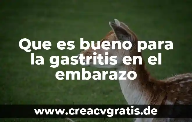 El embarazo que es para niños 7 Que es bueno para la gastritis en el embarazo