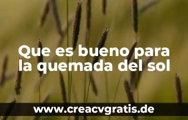 Qué es MV SOL 7 Que es bueno para la quemada del sol
